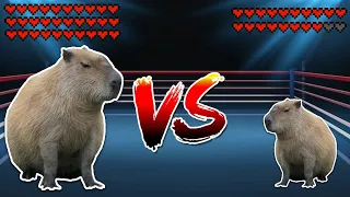 Giant Capybara vs Capybara! Meme battle