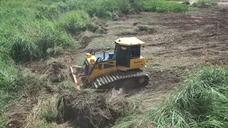 New Project, The Bulldozer Start Pushing the Tree to make new Land with technical driver