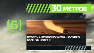 Сколько метров «вслепую» проезжает автомобиль, чей водитель обернулся поговорить с пассажирами?