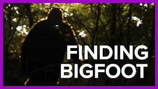 Is that...BIGFOOT?!