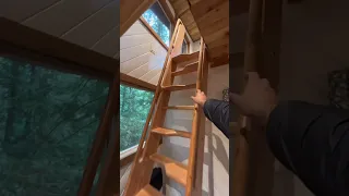 A treehouse Airbnb!