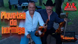 Conjunto Michoacán ft Los de Michoacán - Piquetes de hormiga