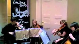 Married Life from the Disney's 'Up' - Cairn String Quartet cover