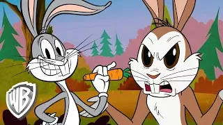 Looney Tunes en Français | Un Vrai Lapin | WB Kids