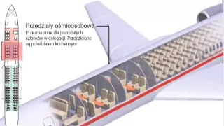 Samolot Lecha Kaczyńskiego - jak wyglądał