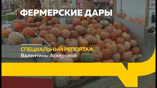 Специальный репортаж: алтайские фермерские ярмарки