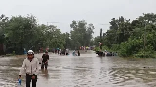 Chương trình thời sự 11h30 ngày 8-8-2019