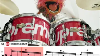 Animal, Supreme X Pearl DRUM TRANSCRIPTION