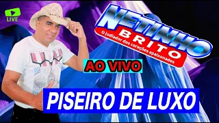 PAREDÃO DO PISEIRO BREGA DE LUXO/ NETINHO BRITO/ AS MELHORES