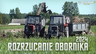 👨‍🌾Rozrzucanie obornika 2024//MF255//C-360//C-330//PolFarm