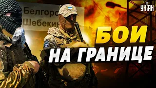 💥 Бои на границе с Россией! Добровольцы пошли в атаку и записали срочное обращение