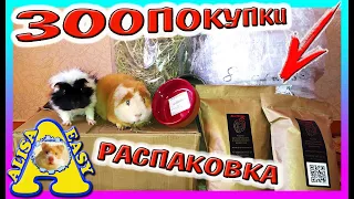 ЗООПОКУПКИ / РАСПАКОВКА ПОСЫЛКИ  29КГ / ХОМКИ В ШОКЕ / Чем кормить морскую свинку / Alisa Easy Pets