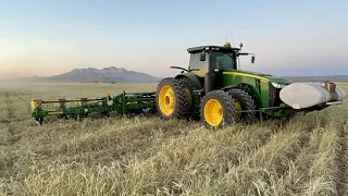 Planting cotton in the mountains