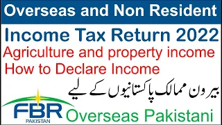 File Tax Return 2022 for Non-Resident Pakistani | how to Tax Return for Overseas Pakistanis 2022