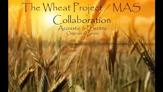 The Wheat Project / MAS Collaboration - Jackie Blue (Cover)
