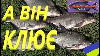 ТІЛЬКИ ЛЯЩ #РибачуЯкУмію