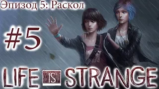 Life is Strange - Эпизод 5: Раскол ФИНАЛ (все концовки) [русская озвучка, без комментариев]
