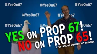 California voters: YES on Prop 67—and NO on Prop 65—for a plastic-free ocean!