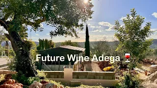 Jan 28, 2024: Amazing progress of the future Adega/Wine Cellar 🍷 at my farmhouse in the Algarve