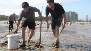 Chinese Electrofishing