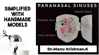 Anatomy of Paranasal sinuses - with simplified notes