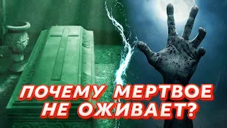 ЧТО ТАКОЕ ЖИЗНЬ, и ОТКУДА ОНА ПОЯВИЛАСЬ НА ЗЕМЛЕ?