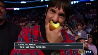 Anthony Kiedis UFC 202