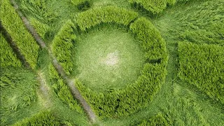 Crop Circle at Broad Hinton, Wiltshire, England.