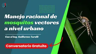 RupiConversatorio: Manejo racional de mosquitos vectores a nivel urbano