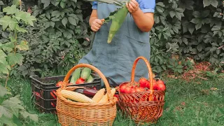 Storage and preservation of vegetables for a long winter-Vegetable paradise-Rural life in the forest