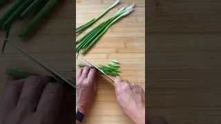 Vegetable Prep 101: How to Cut Green Onions for Stir-Fry