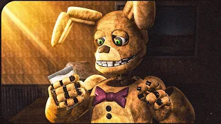 Memes mais LOUCOS de FNAF... Spring Leite?