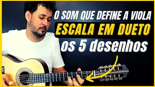 ESCALAS DUETADAS NA VIOLA - Aprenda Passo a Passo | tutorial Como tocar na viola caipira  | Teoria