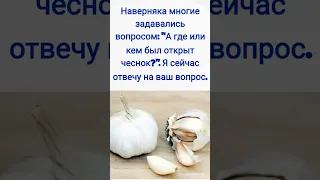 Чеснок / Происхождение Чеснока / История