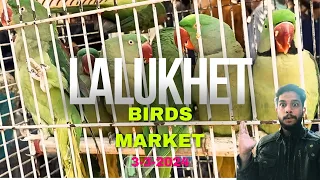 Birds market Lalukhet / Sunday bird's Market Lalukhet / lalukhet birds Market Price
