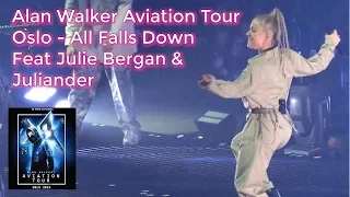 Alan Walker Aviation Tour - All Falls Down live