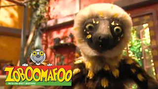 Zoboomafoo with the Kratt Brothers! FAST & SLOW | Full Episodes Compilation