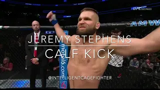 Jeremy Stephens: Calf Kick