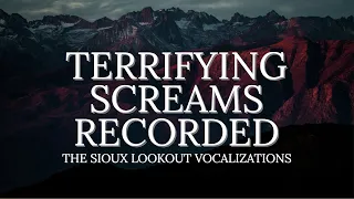 CREEPY BIGFOOT VOCALIZATIONS CAUGHT ON CAMERA - Strange Sounds Recorded in Forest - MBM 114