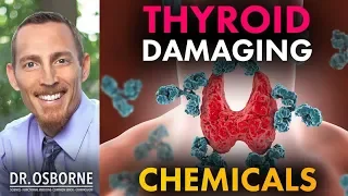 Chemicals That Damage The Thyroid