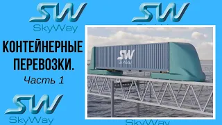 Skyway.Контейнерные перевозки. Часть1