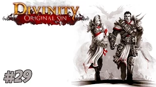Divinity: Original Sin | Multiplayer Co-op | Part 29 | Finding Evelyn