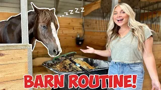 MY HORSES SUMMER NIGHT ROUTINE | BARN ROUTINE
