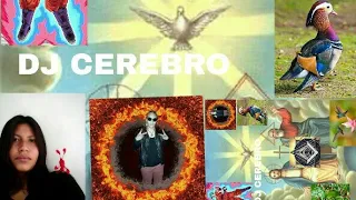 CREACIÓN DE DIOS DJ CEREBRO 2022 2050 ✪ HORIGIONAL REMIX