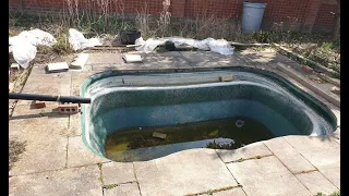 Neglected koi pond ending fish rescue 🙂