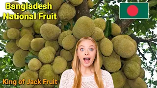 Bangladesh National Fruit | King of Jack Fruit !! Pakistani Reaction