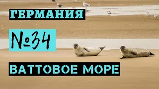 34. Ваттовое море. Германия