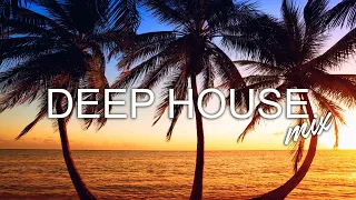 Avicii, Calvin Harris, Kygo, Alok, Robin Schulz, David Guetta, Gryffin   Summer Vibes Mix #373