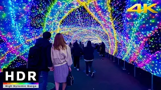 4K HDR // Japan's Best Illuminations near Tokyo after New Year - 2 hours