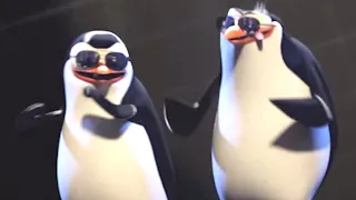 DreamWorks Madagascar | Penguins of Madagascar: Pitbull - Celebrate Music Video | Kids Movies